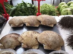 -蚝专家(北滘店)