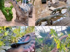-呀路古热带植物园