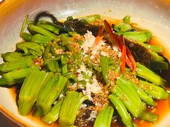 炝拌水性杨花-芸山季·云南野生菌火锅(南翔印象城MEGA店)