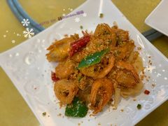 -鸽王世家(东华东路店)