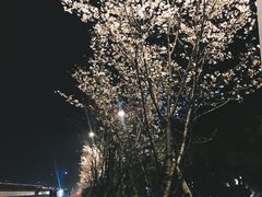-钱塘江大桥