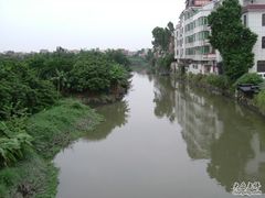 -小洲村