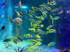 -沈阳海洋探索中心