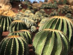 -南通洲际绿博园