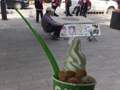 -Salud撒露欧洲冻酸奶(798艺术区店)