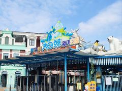 -芜湖新华联大白鲸海洋公园