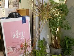 -茶理宜世(东方宝泰店)