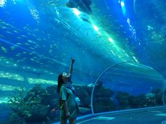 -成都浩海立方海洋公园