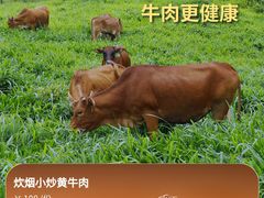 -炊烟小炒黄牛肉(浦东世纪汇店)