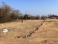 -盘龙城国家考古遗址公园