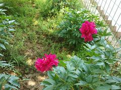 -幕燕滨江·长江观音景区