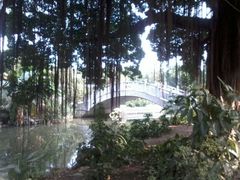 -小洲村