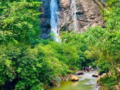 -广州白江湖森林公园