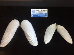 -贝壳梦幻世界