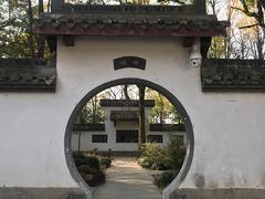 -西湖风景区十里琅珰-五云山