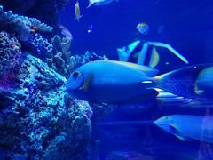 -成都浩海立方海洋公园