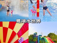 -美的鹭湖森林度假区