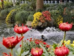 -杭州植物园