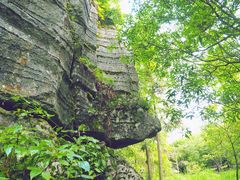-梭布垭石林景区