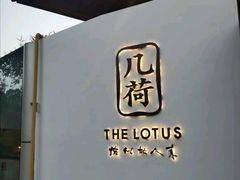 -几荷·恰似故人来(秀水广场店)
