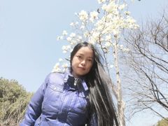-玉山公园