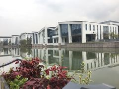 -湘湖金融镇