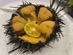 -日月昇渔家菜·海肠捞饭·大连海鲜(星海公园店)