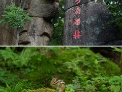 -汤旺河林海奇石景区