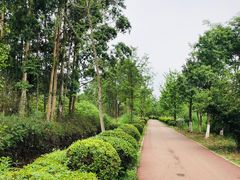 -白鹭湾湿地公园