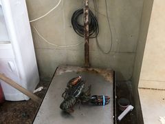 -江杨农产品批发市场