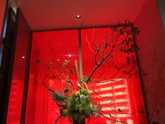 -星·South Beauty·俏江南(国贸店)