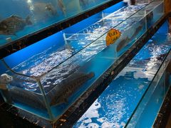 水产区-章吴记喜瑞餐厅(东东城店)