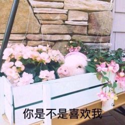 -韩鑫烫染接发·收长头发