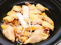 鲜人参水晶鸡-雅和生态渔庄·宜城锅巴饭(龙灵山公园店)