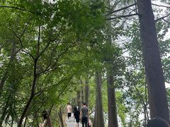 -东湖落雁景区