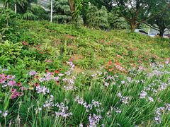 -贵阳市花溪国家城市湿地公园