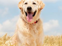 -上海星秀麦量贩KTV(张江商业广场店)