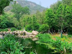 -白水寺森林公园