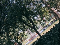 -广州中山纪念堂