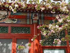 -海棠花溪(元大都城垣遗址公园)