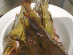 -眉州东坡(民族园店)