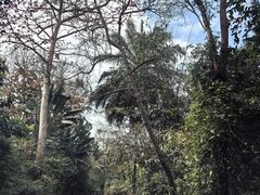 -海南热带野生动植物园