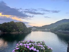 -蒋氏故居