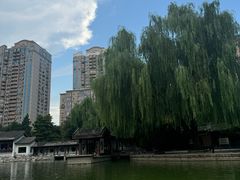 -团结湖公园