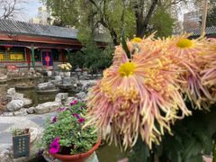 -白家大院·王府宫廷菜(苏州街店)