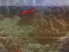 -德全心悦酒店(北京金台路地铁站店)