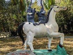 -瑞丽独树成林风景区