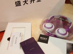 -Sony Store 索尼(来福士店)