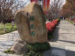 -高东镇樱花园