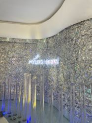 点击看大图 -深圳美莱医疗美容医院